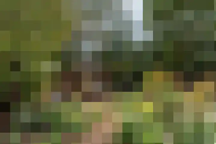 van Wassenaerlaan 1 Almen thumbnail 36