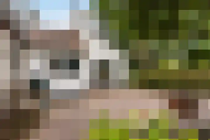 van Wassenaerlaan 1 Almen thumbnail 37