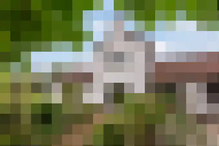van Wassenaerlaan 1 Almen thumbnail 38