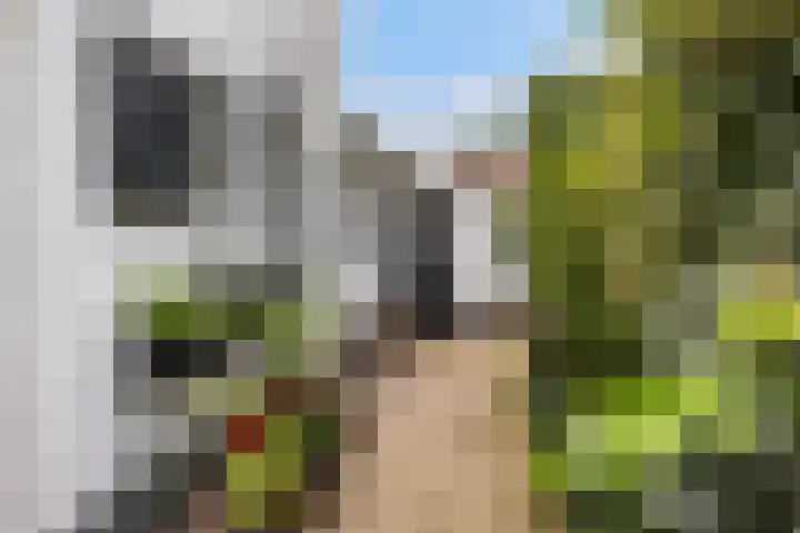 van Wassenaerlaan 1 Almen thumbnail 4