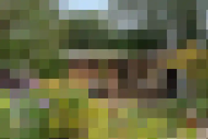 van Wassenaerlaan 1 Almen thumbnail 40