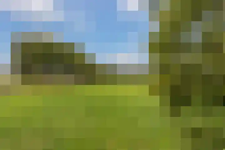 van Wassenaerlaan 1 Almen thumbnail 41