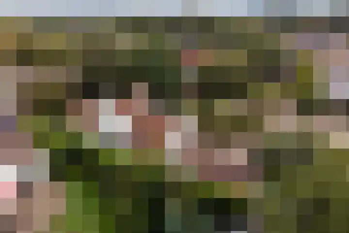 van Wassenaerlaan 1 Almen thumbnail 42