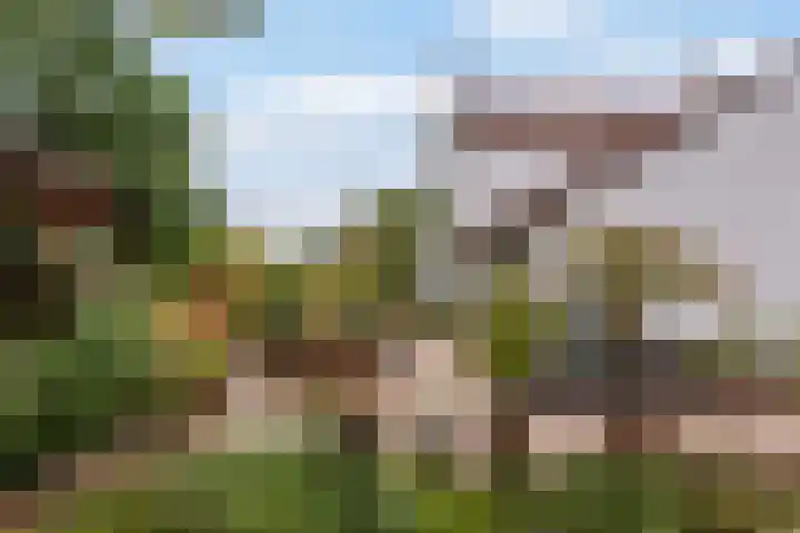 van Wassenaerlaan 1 Almen thumbnail 43
