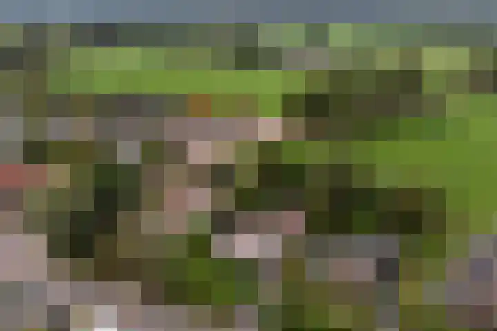 van Wassenaerlaan 1 Almen thumbnail 44