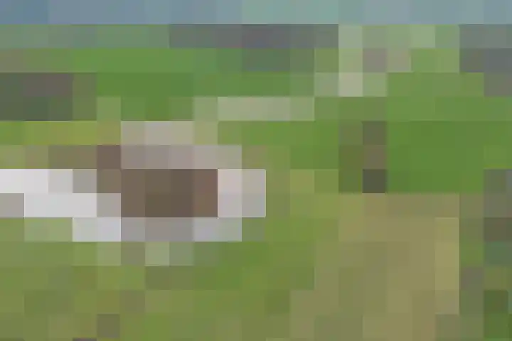 van Wassenaerlaan 1 Almen thumbnail 45