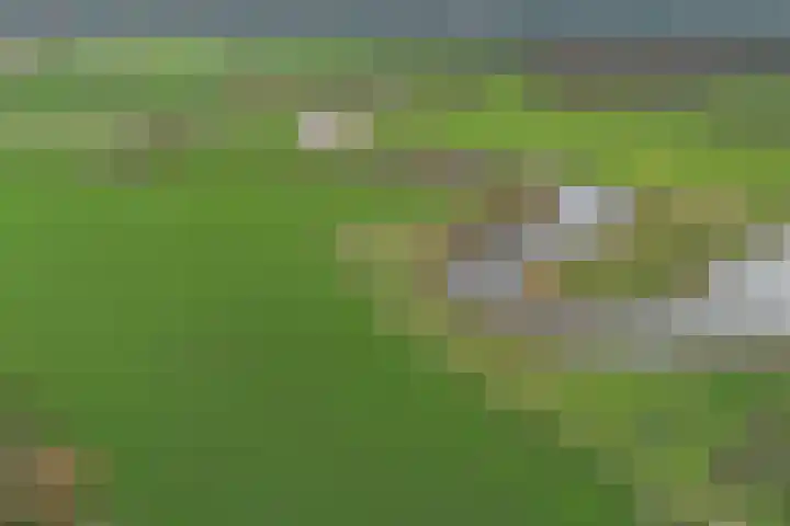 van Wassenaerlaan 1 Almen thumbnail 46