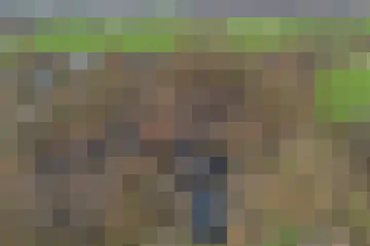van Wassenaerlaan 1 Almen thumbnail 47