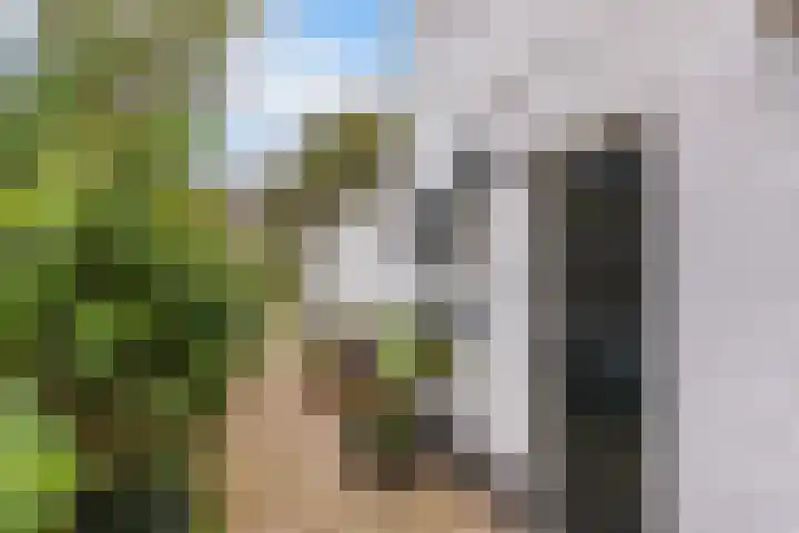 van Wassenaerlaan 1 Almen thumbnail 5