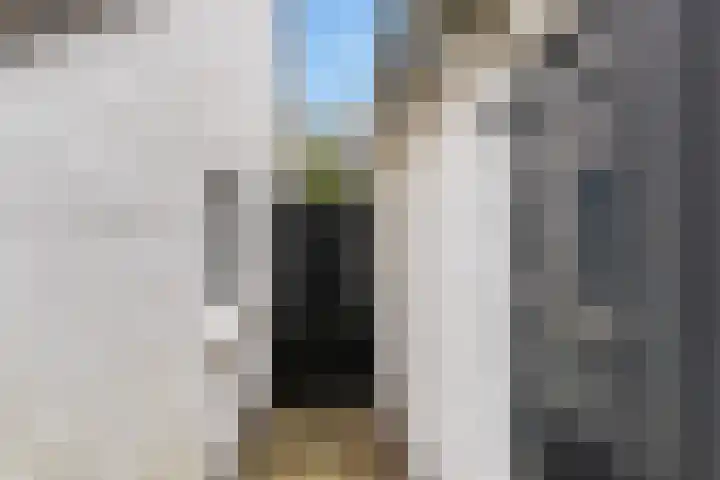 van Wassenaerlaan 1 Almen thumbnail 6