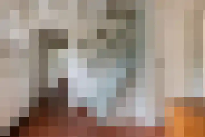 van Wassenaerlaan 1 Almen thumbnail 8