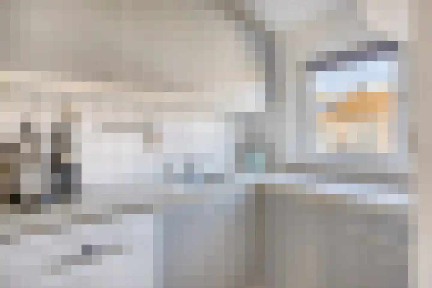 van Wassenaerlaan 11 Oegstgeest thumbnail 22
