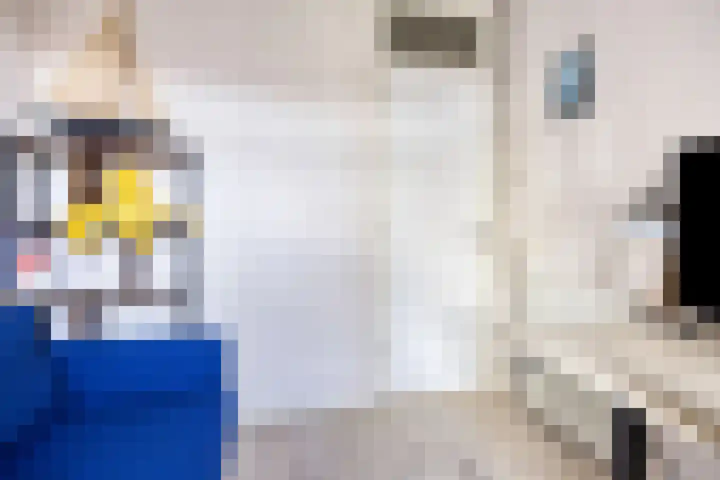 van Wassenaerlaan 11 Oegstgeest thumbnail 25