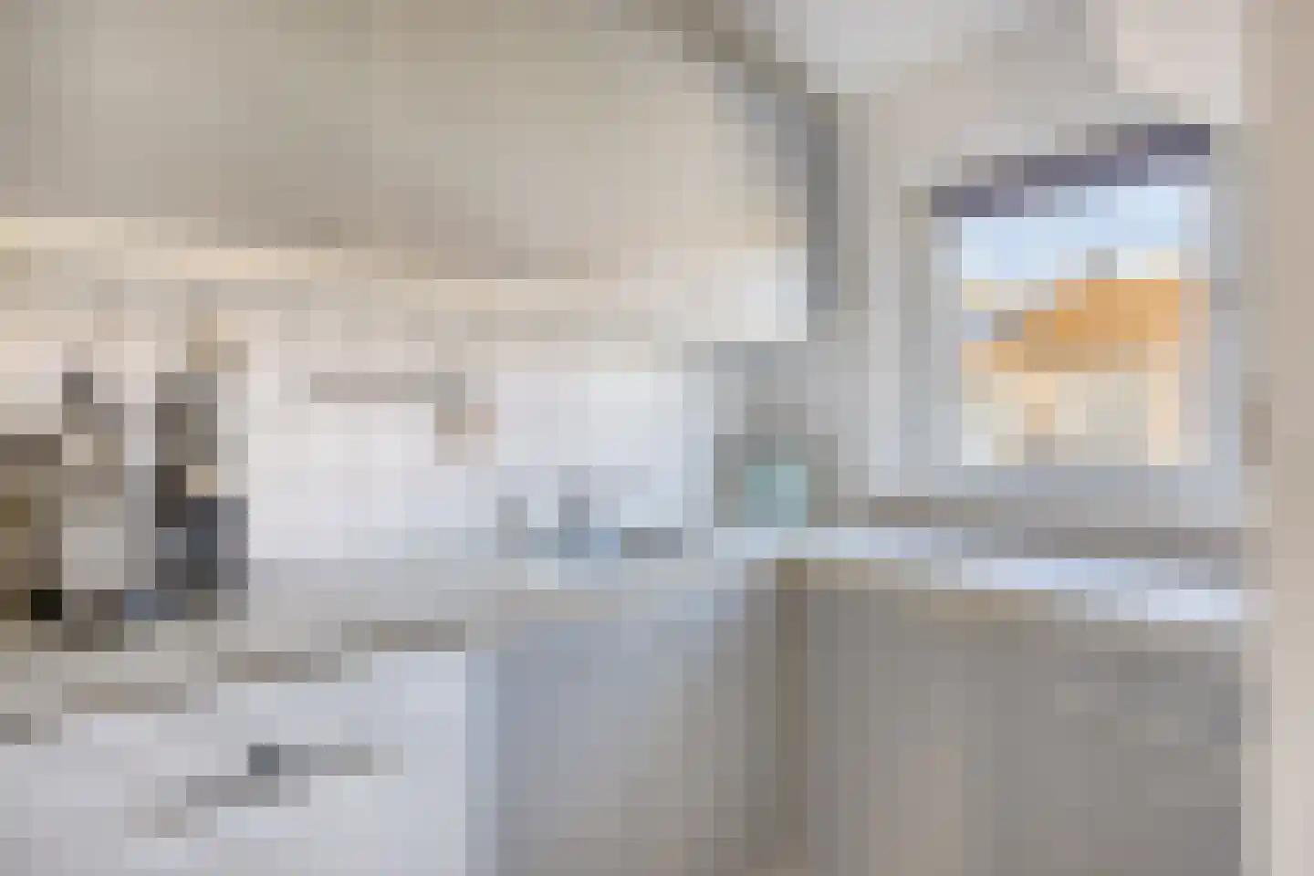 van Wassenaerlaan 11 Oegstgeest thumbnail 4