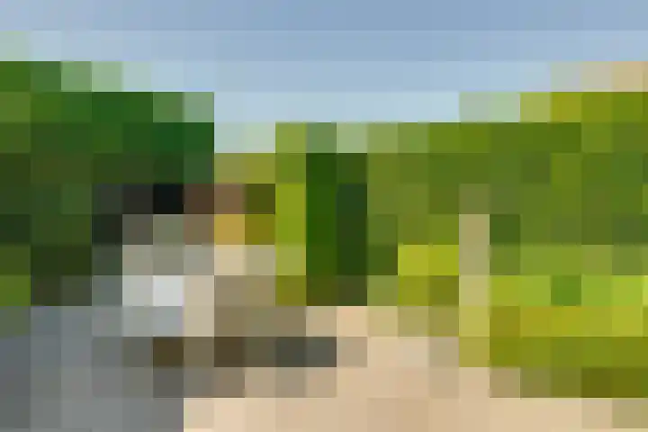 Van Wassenaerlaan 12 Willemstad thumbnail 52