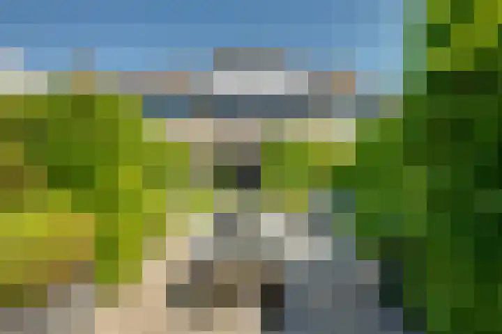 Van Wassenaerlaan 12 Willemstad thumbnail 53