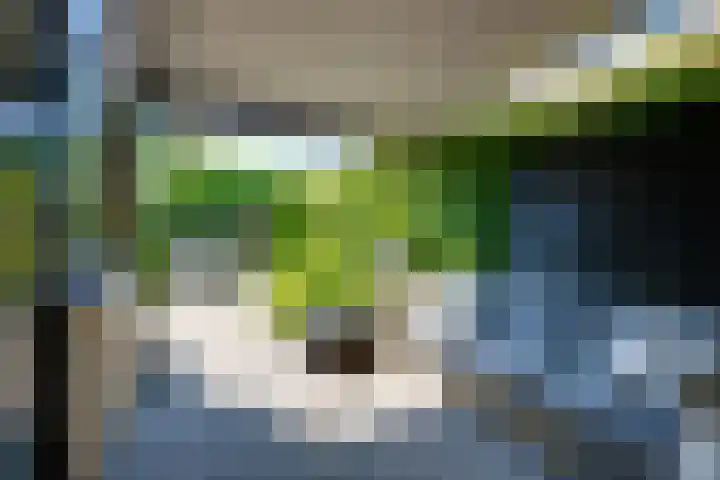 Van Wassenaerlaan 12 Willemstad thumbnail 55