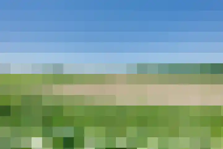 Van Wassenaerlaan 12 Willemstad thumbnail 62