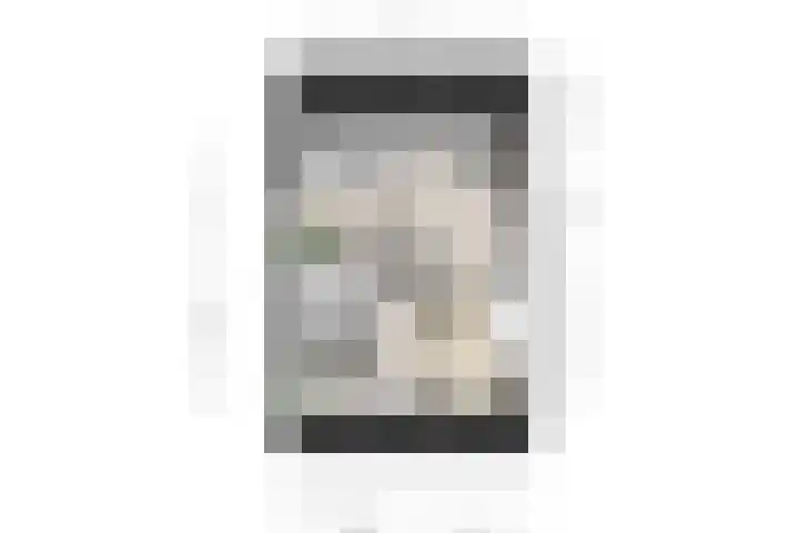 Van Wassenaerlaan 12 Willemstad thumbnail 69