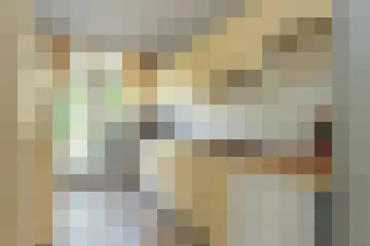Van Wassenaerlaan 16 Hilversum thumbnail 15