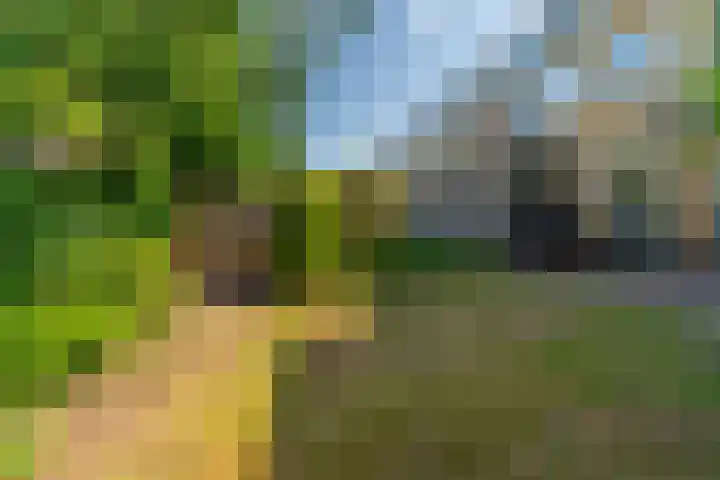 Van Wassenaerlaan 16 Hilversum thumbnail 20