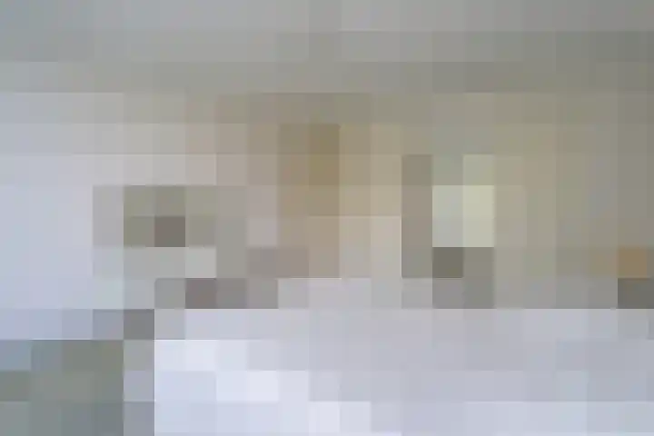 Van Wassenaerlaan 16 Hilversum thumbnail 24