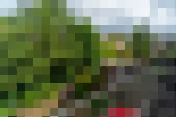 Van Wassenaerlaan 16 Hilversum thumbnail 26