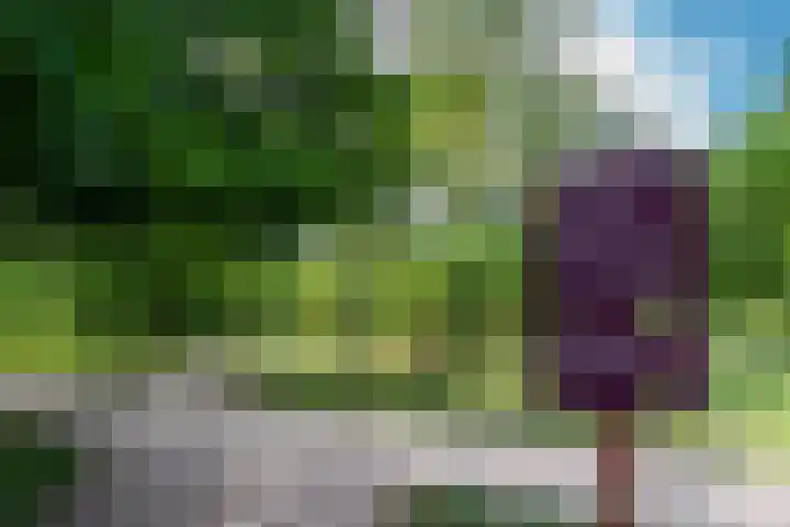 Van Wassenaerlaan 16 Hilversum thumbnail 43