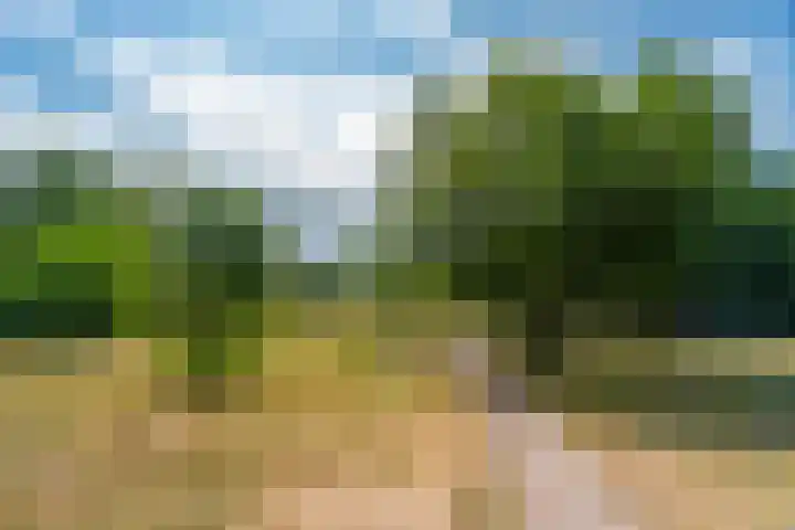 Van Wassenaerlaan 16 Hilversum thumbnail 44