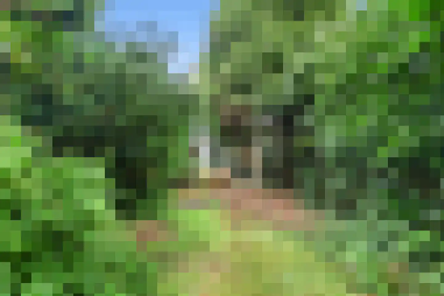 van Wassenaerlaan 18 Baarn thumbnail 4