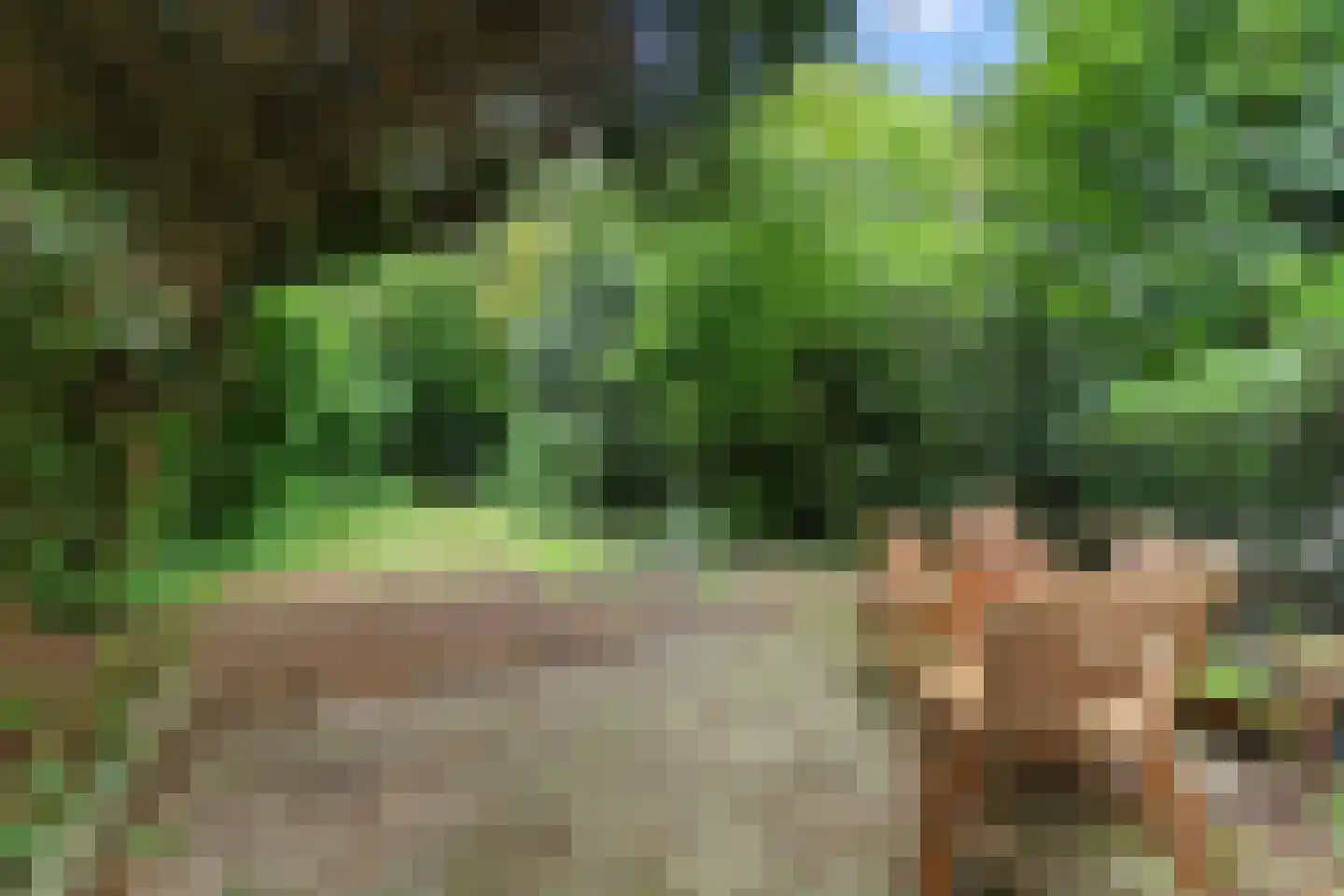 van Wassenaerlaan 18 Baarn thumbnail 5