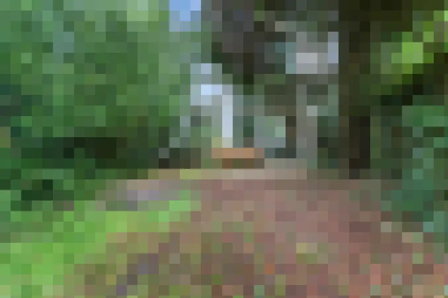 van Wassenaerlaan 18 Baarn thumbnail 6
