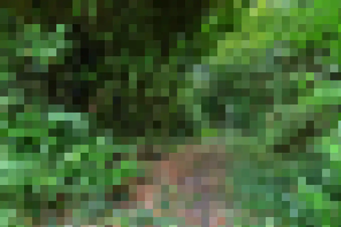van Wassenaerlaan 18 Baarn thumbnail 7