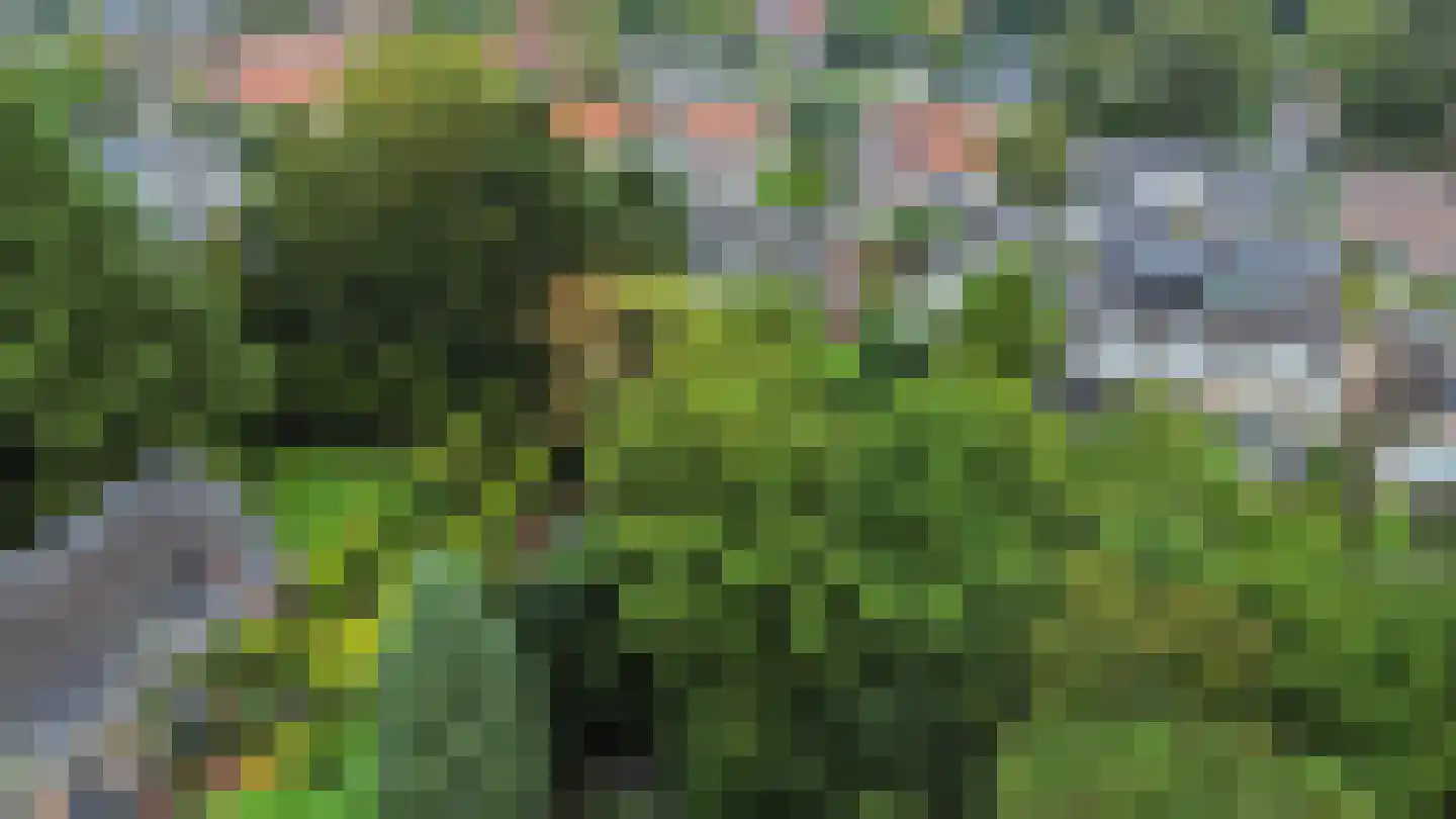 van Wassenaerlaan 18 Baarn thumbnail 8