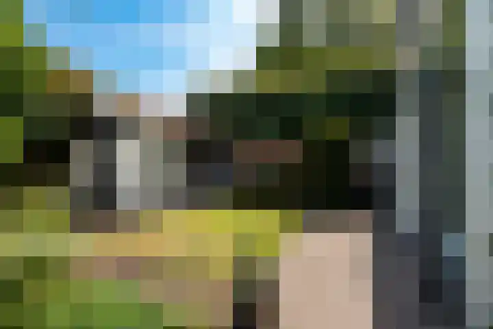 van Wassenaerlaan 21 Baarn thumbnail 36