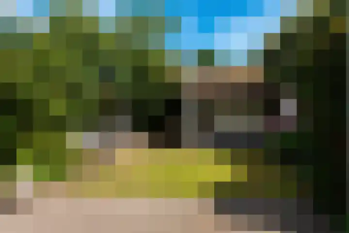 van Wassenaerlaan 21 Baarn thumbnail 37