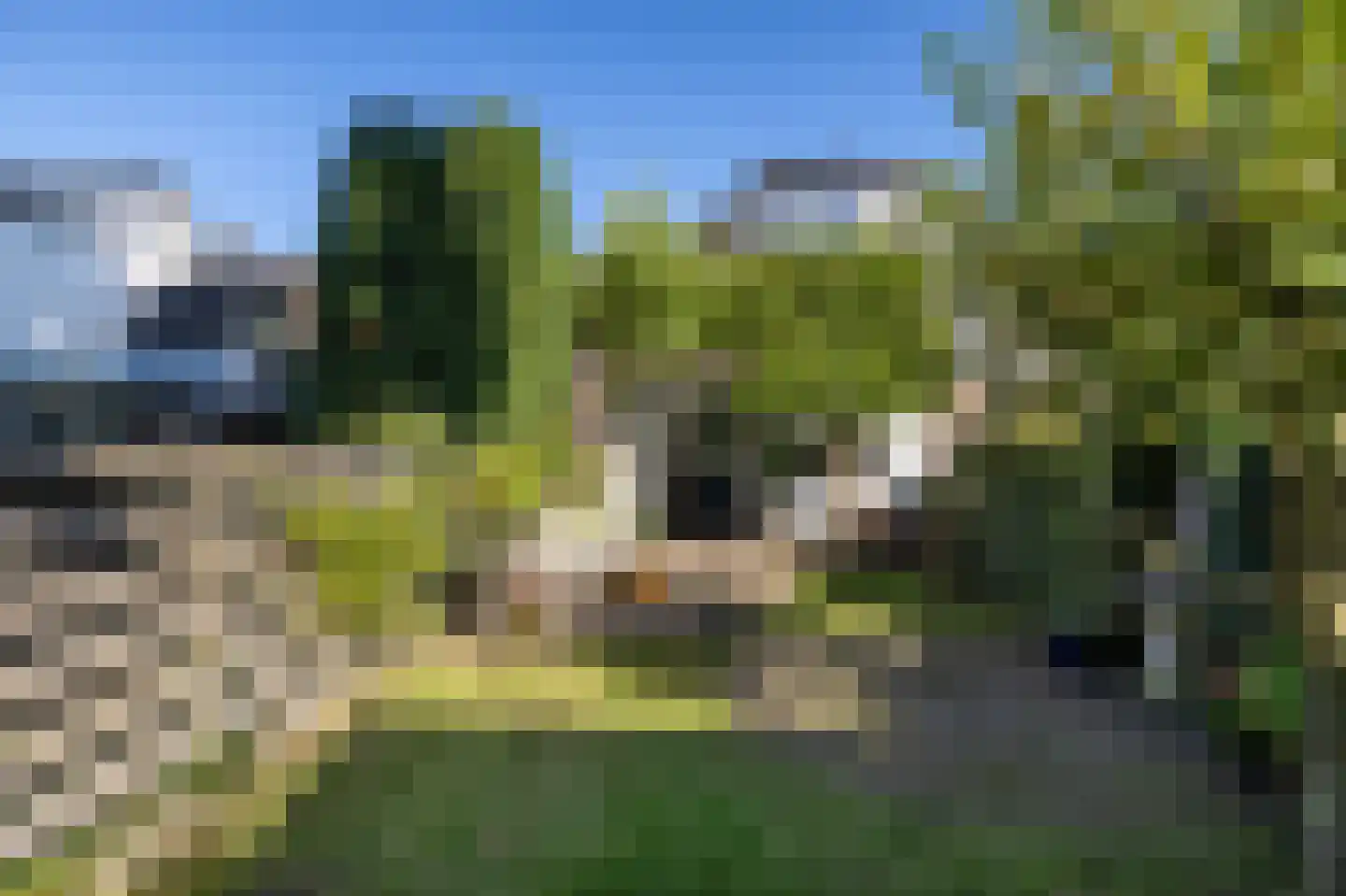 van Wassenaerlaan 28 Baarn thumbnail 29