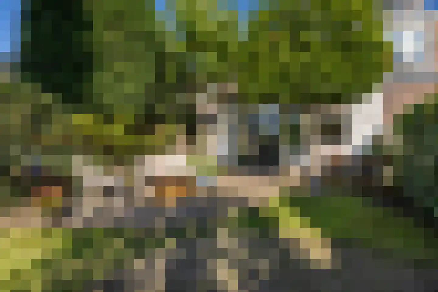 van Wassenaerlaan 28 Baarn thumbnail 30