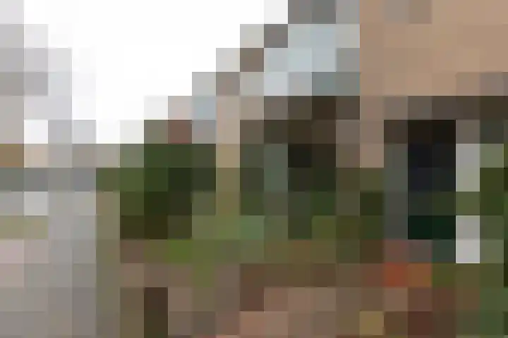 Van Wassenaerlaan 33 Hilversum thumbnail 29