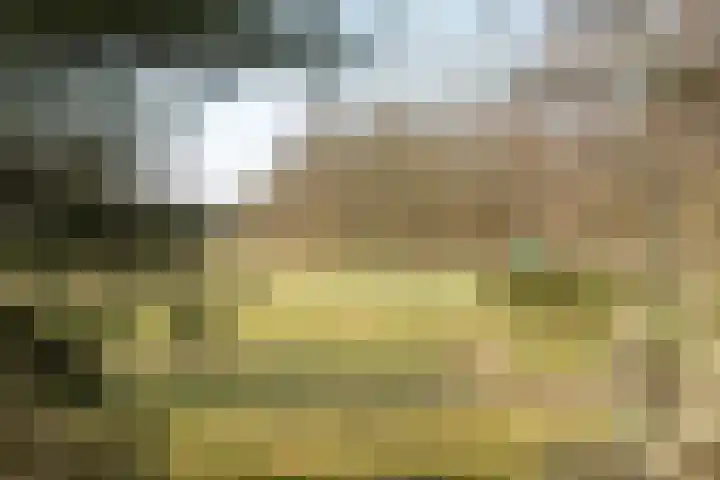 Van Wassenaerlaan 33 Hilversum thumbnail 30