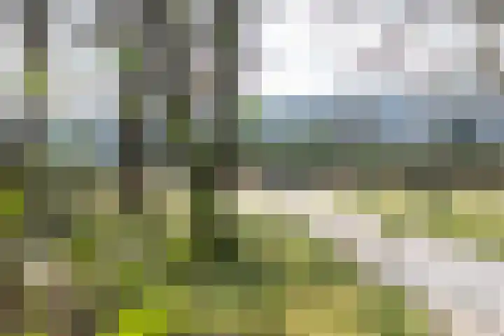 Van Wassenaerlaan 33 Hilversum thumbnail 31