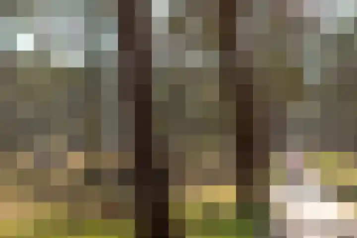 Van Wassenaerlaan 33 Hilversum thumbnail 32