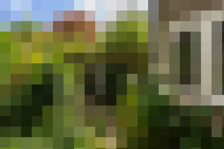 van Wassenaerlaan 37 Baarn thumbnail 31