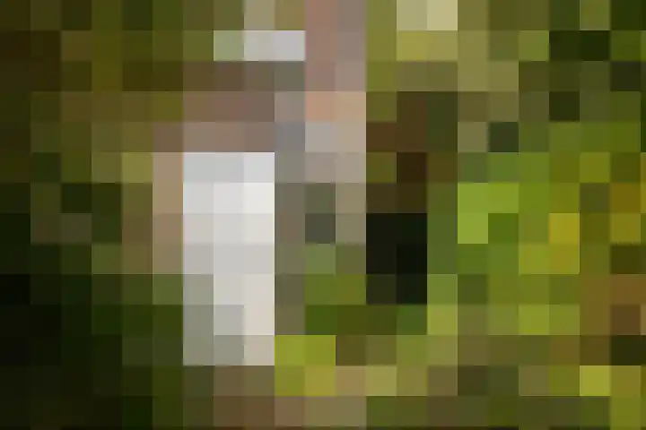 van Wassenaerlaan 37 Baarn thumbnail 32