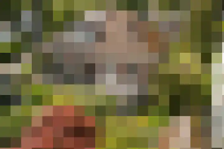 van Wassenaerlaan 37 Baarn thumbnail 33