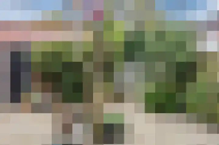 van Wassenaerlaan 42 Oegstgeest thumbnail 29