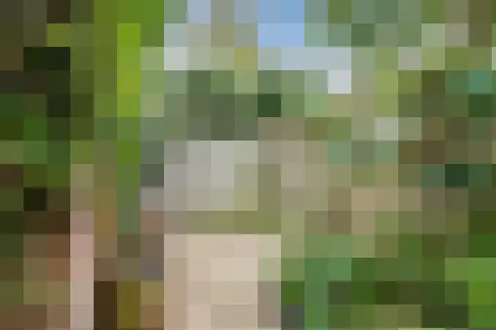van Wassenaerlaan 42 Oegstgeest thumbnail 32