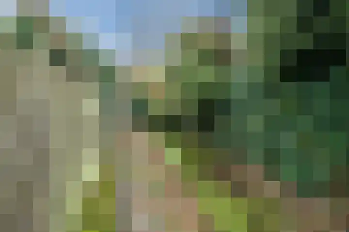 van Wassenaerlaan 42 Oegstgeest thumbnail 33