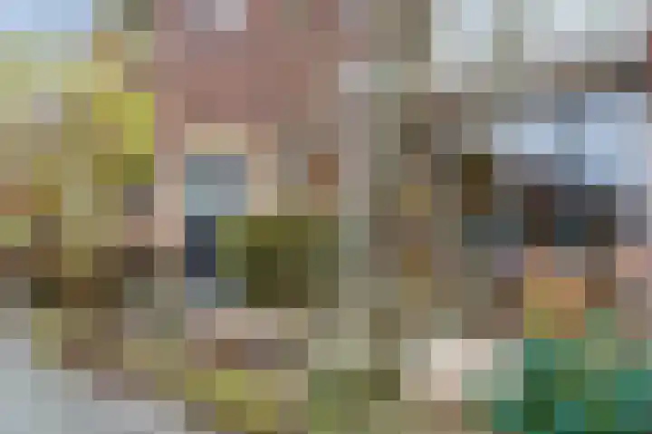 van Wassenaerlaan 42 Oegstgeest thumbnail 6