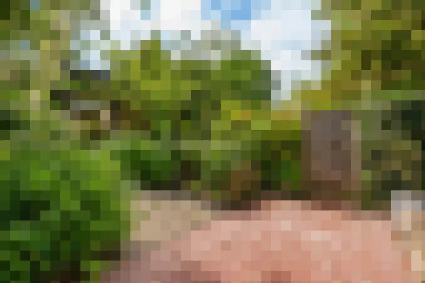 van Wassenaerlaan 46 Oegstgeest thumbnail 45